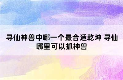 寻仙神兽中哪一个最合适乾坤 寻仙哪里可以抓神兽